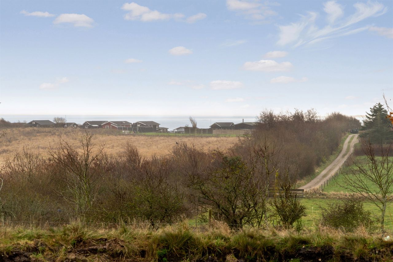 image 02