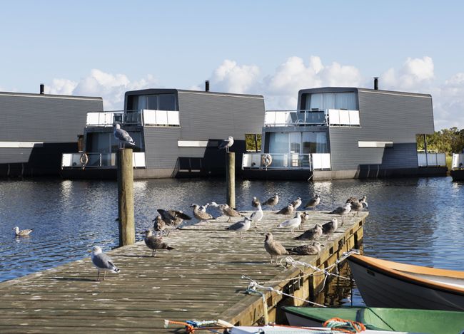 Molen 3, Nr Bork, 6893 Hemmet